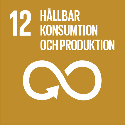 Sustainable-Development-Goals_icons-12