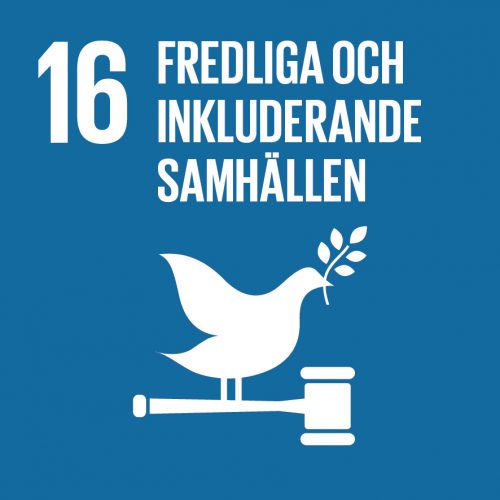 Sustainable-Development-Goals_icons-16